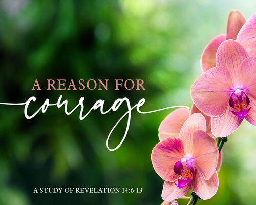 A Reason for Courage - 7 Part Bible Study Series