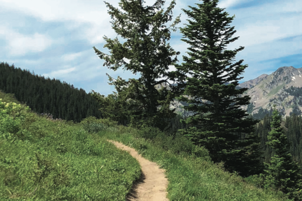 Meet Jesus Outside - Bible Prayer Walks