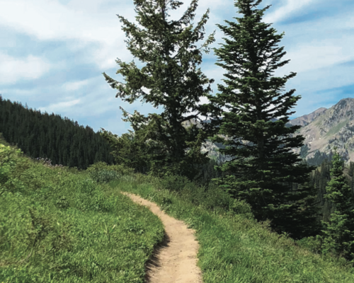 Meet Jesus Outside - Bible Prayer Walks