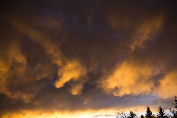 And God held back the Rain