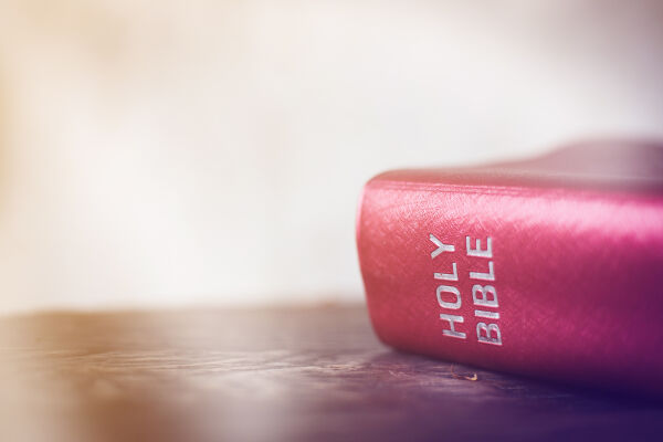 Mystery Bible Answers Covid-19 Prayer