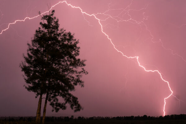 My Dream and the Coming Storm
