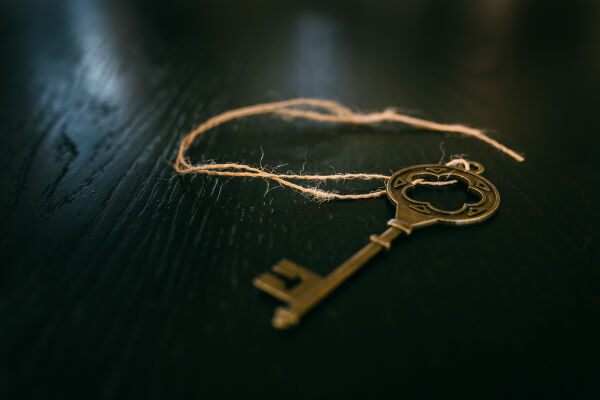The Skeleton Key