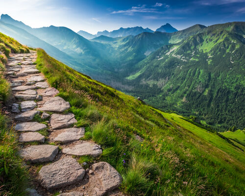 The Power of Prayer: Prayer Ministry Guide