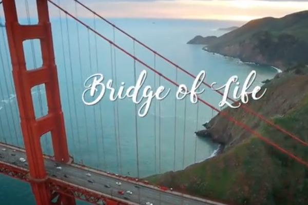 Reflections of Hope 10 - Bridge of Life