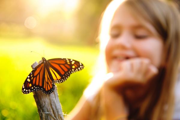 The Power of Gratitude
