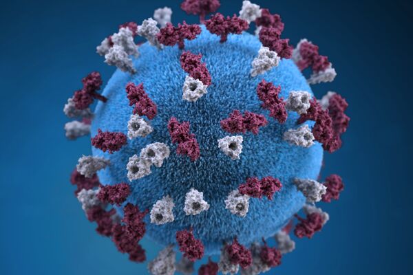 Tips for Building Your Immune System