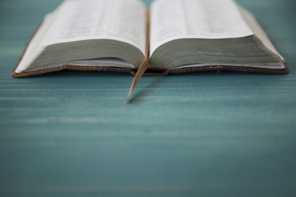 Reset in the Word