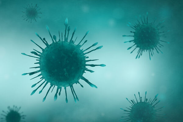 Peace in the Midst of a Pandemic
