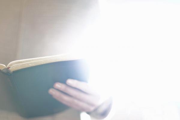 Day 17 - The Word - A Light (May 19)
